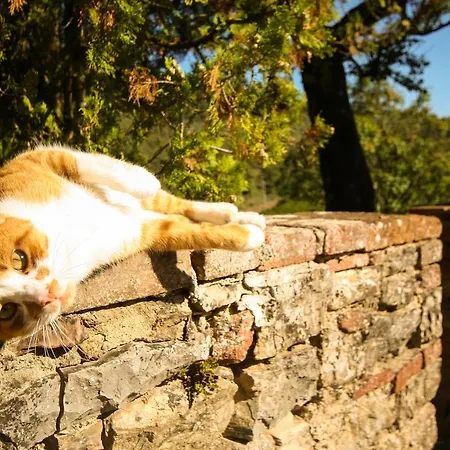 Podere Il Trebbio, Porzione Di Country house