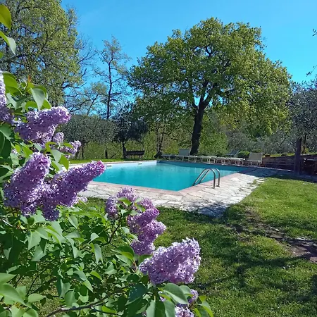 Podere Il Trebbio, Porzione Di Landhuis Gaiole in Chianti